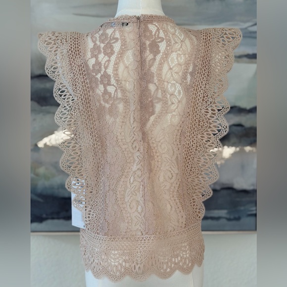 NWT Zara Lace Ruffle Blouse - Blush Pink - Picture 7 of 16